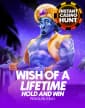 Wish of a Lifetime Hold & Win